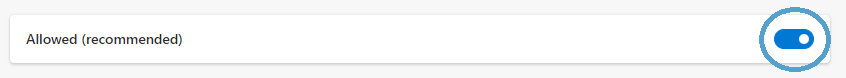 Screengrab showing the javascript 'allowed' toggle enabled.