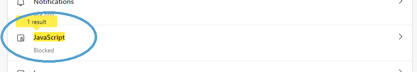 Screengrab showing the Javascript option.