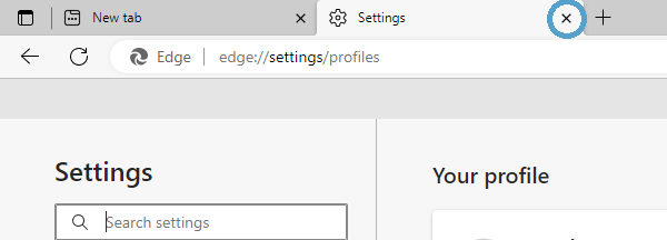 Screengrab showing the settings tab in Edge browser.