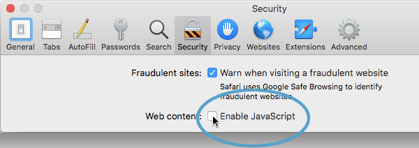 Screengrab showing the 'Enable Javascript' checkbox in the security options.