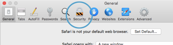 Screengrab showing the Security option location in the preferences window.
